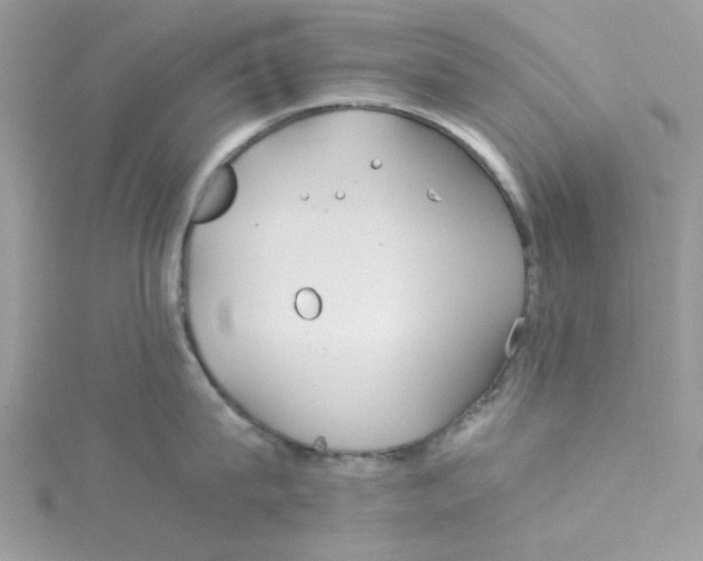 X0000114540815200911161356