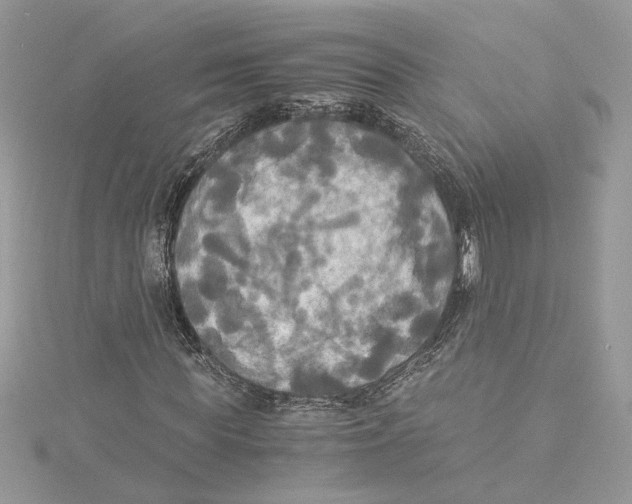 X0000114540819200911161355