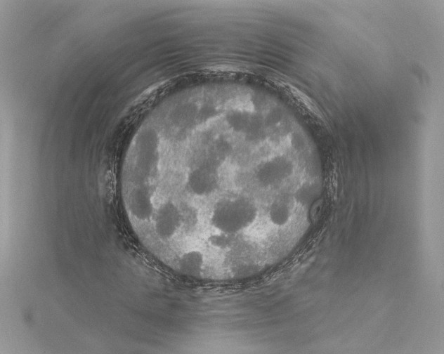 X0000114540821200911161355