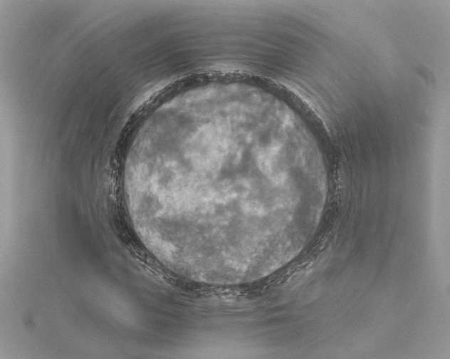 X0000114540823200911161356