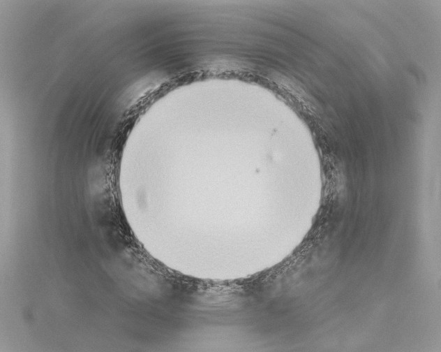 X0000114540824200911161356