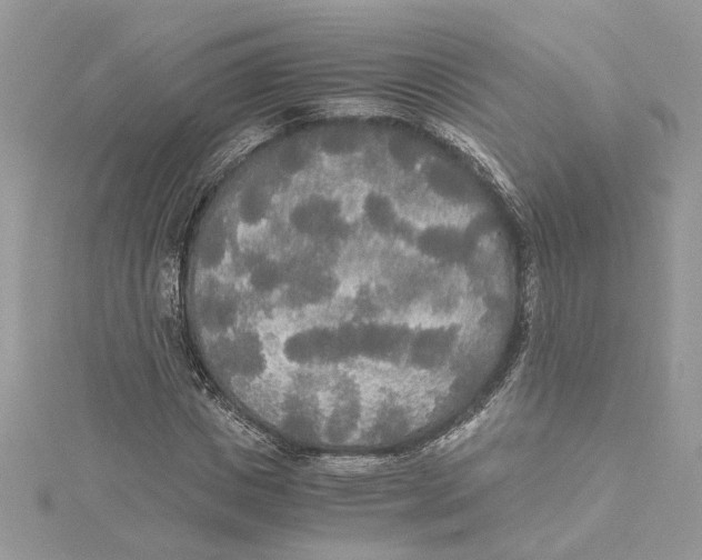 X0000114540825200911161356