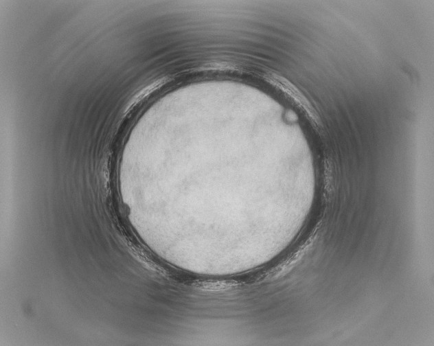 X0000114540826200911161356