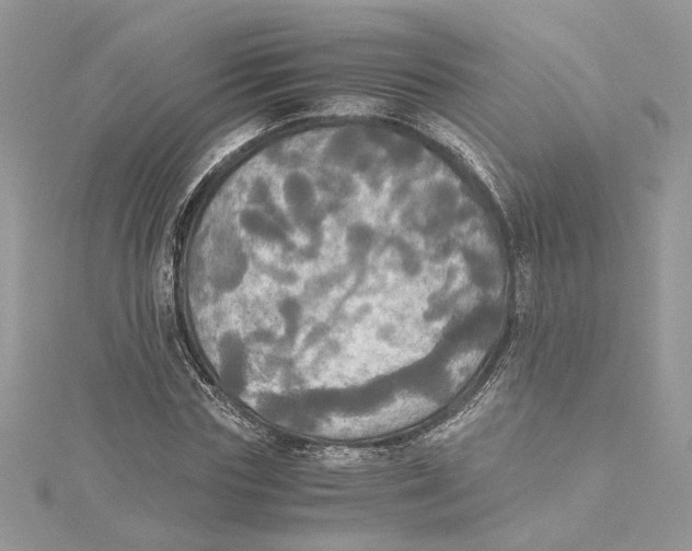 X0000114540827200911161356