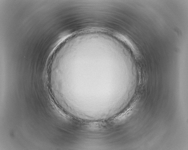 X0000114540828200911161356