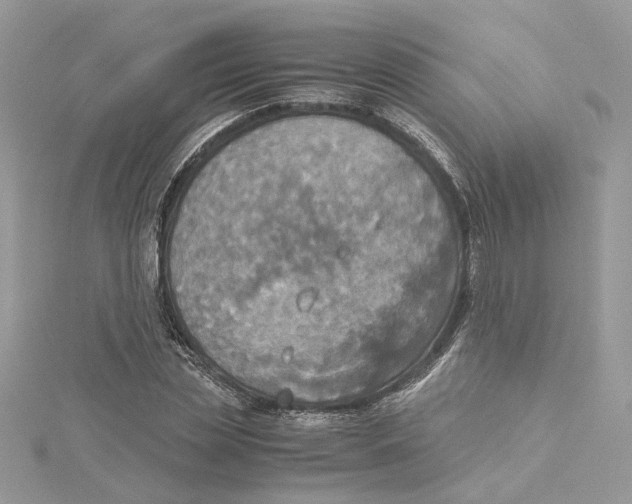 X0000114540829200911161356