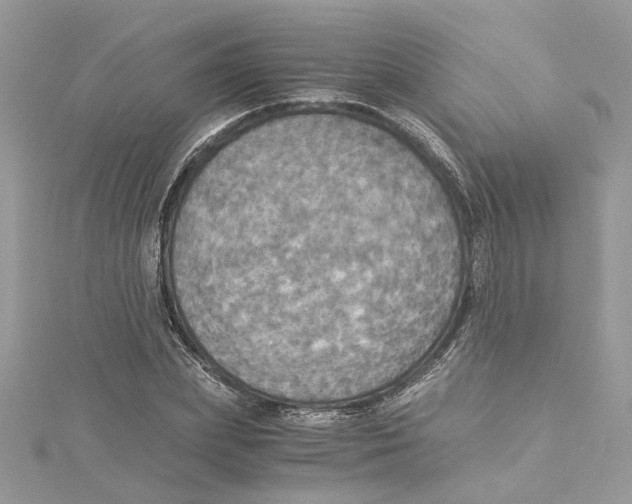 X0000114540831200911161356