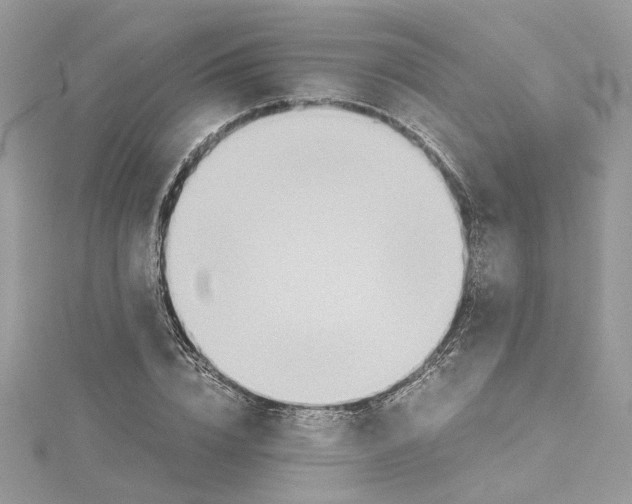 X0000114540832200911161356