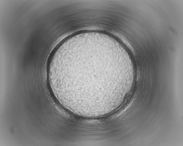 X0000114540837200911161356