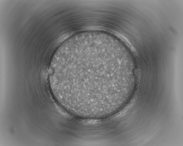 X0000114540841200911161356