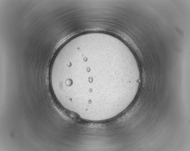 X0000114540842200911161356