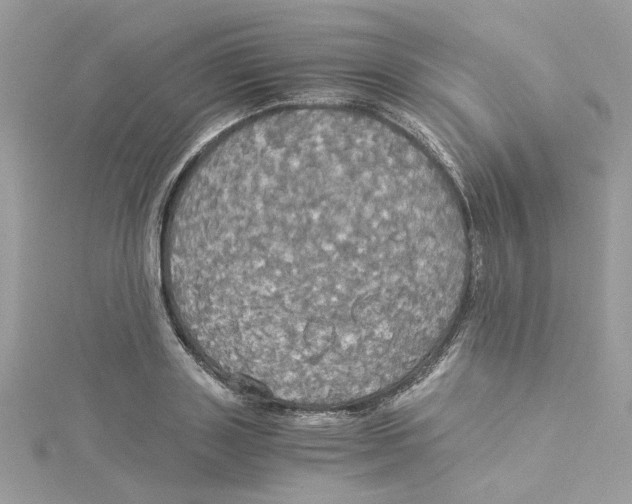 X0000114540843200911161356