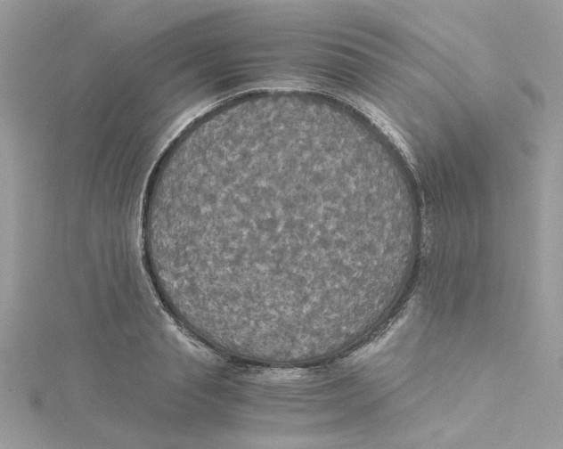 X0000114540845200911161356