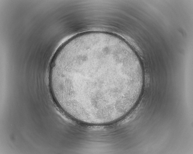 X0000114540846200911161356