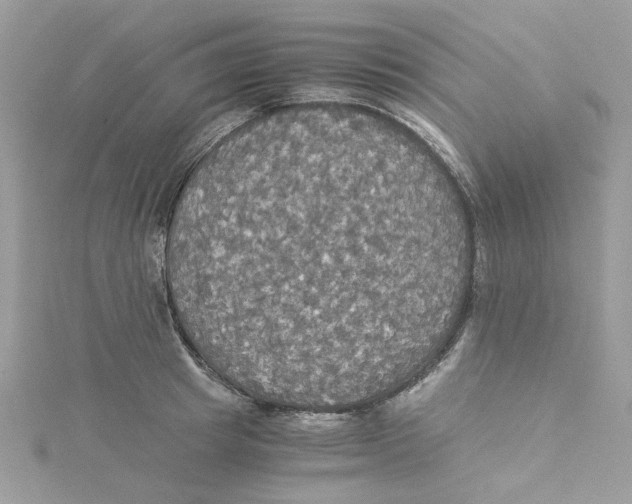 X0000114540849200911161356