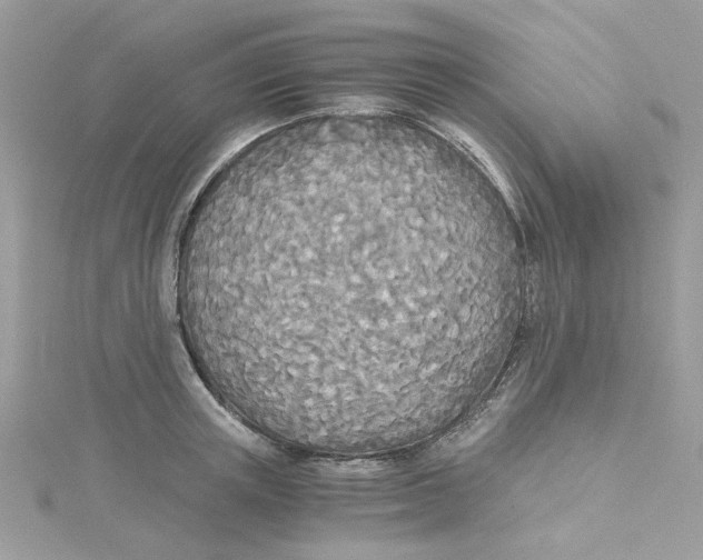 X0000114540851200911161356