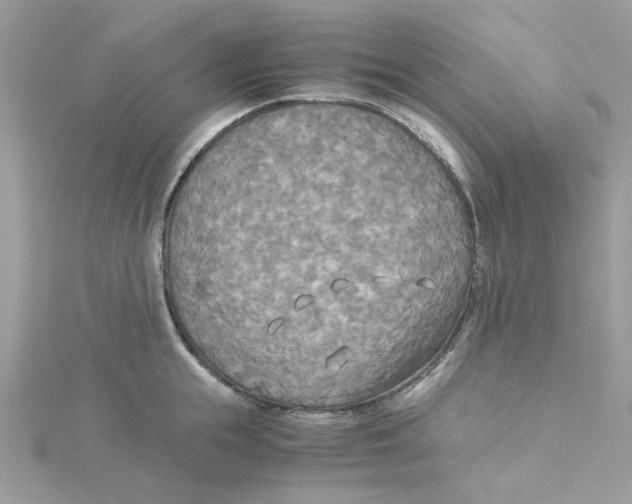 X0000114540855200911161356