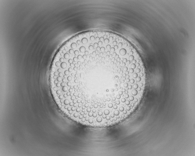 X0000114540856200911161356