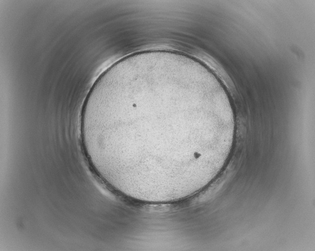 X0000114540858200911161356