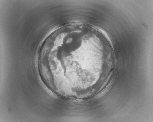 X0000114540859200911161356