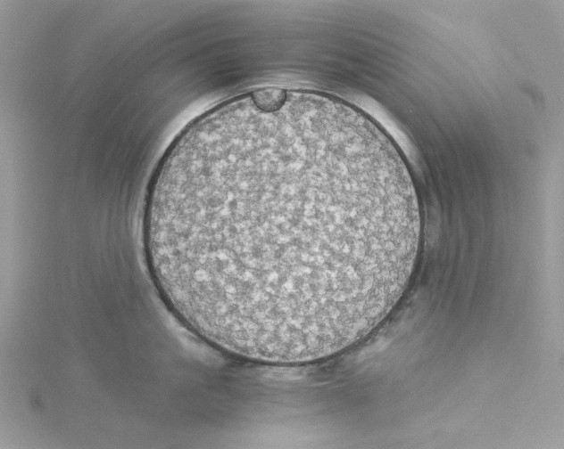 X0000114540861200911161356