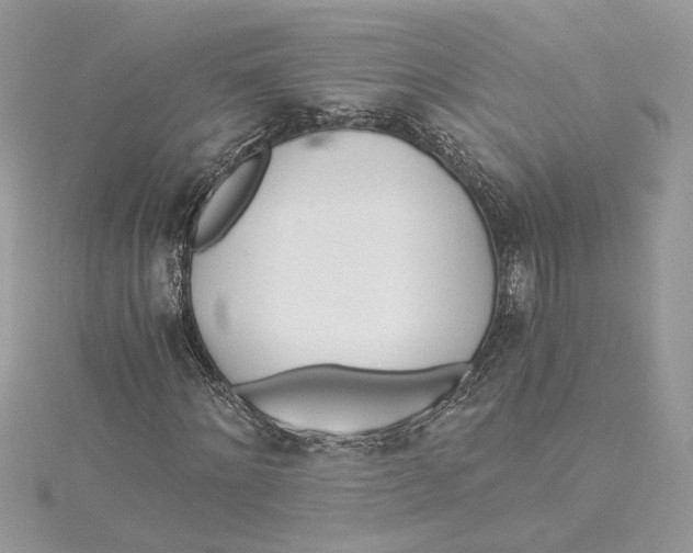 X0000114540868200911161355