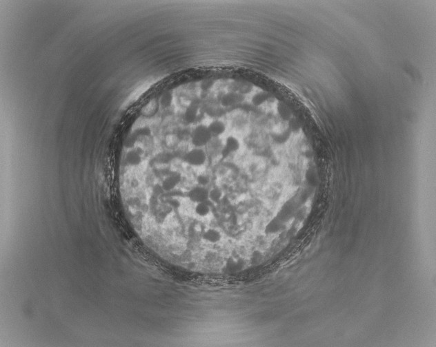 X0000114540871200911161355