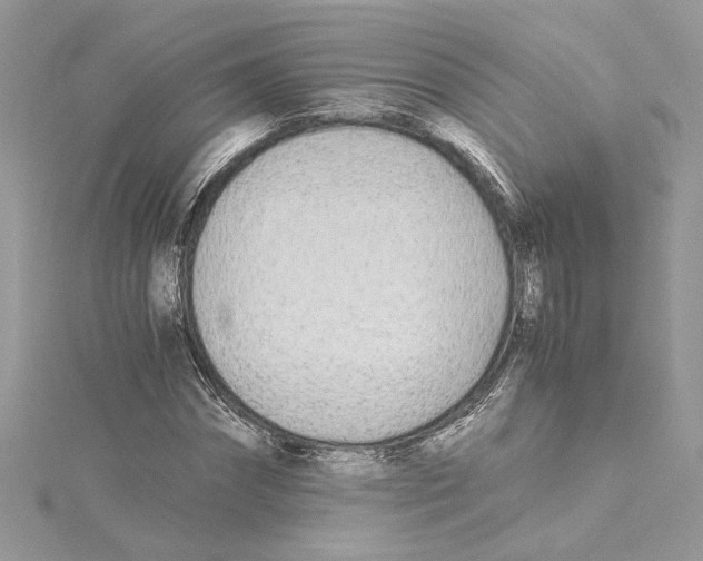 X0000114540874200911161355