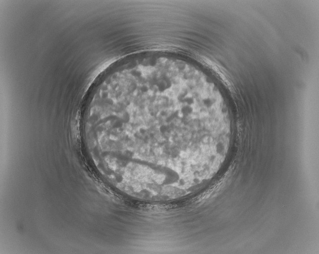 X0000114540875200911161355