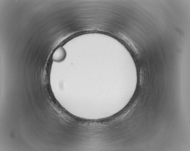 X0000114540876200911161355