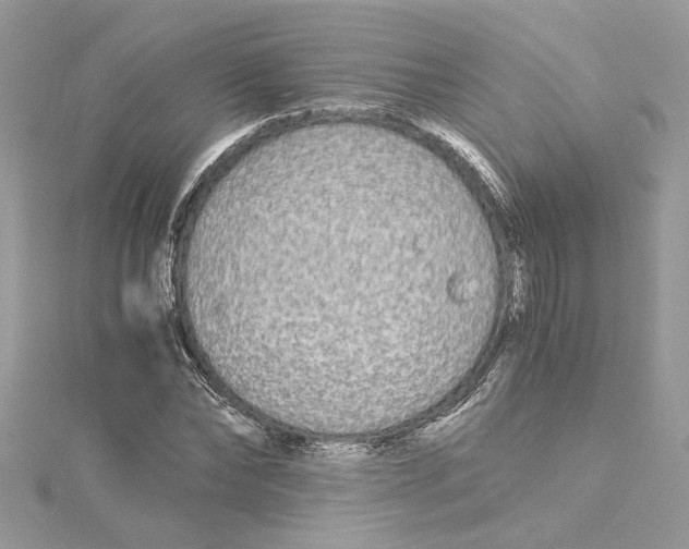 X0000114540878200911161355