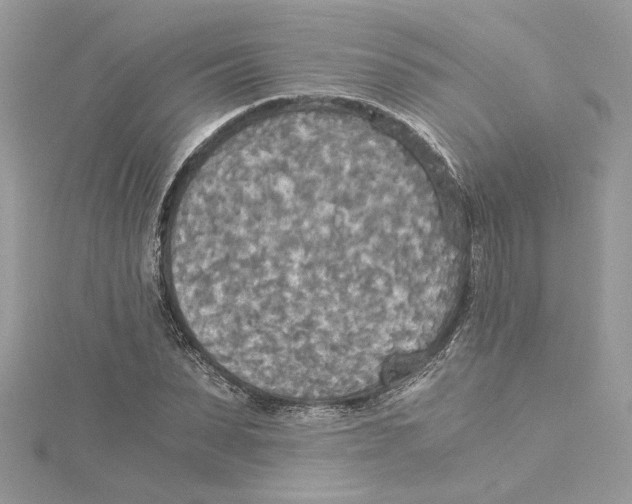 X0000114540879200911161355