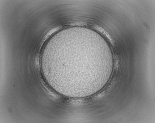 X0000114540882200911161355