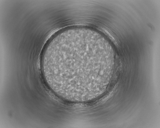 X0000114540883200911161355