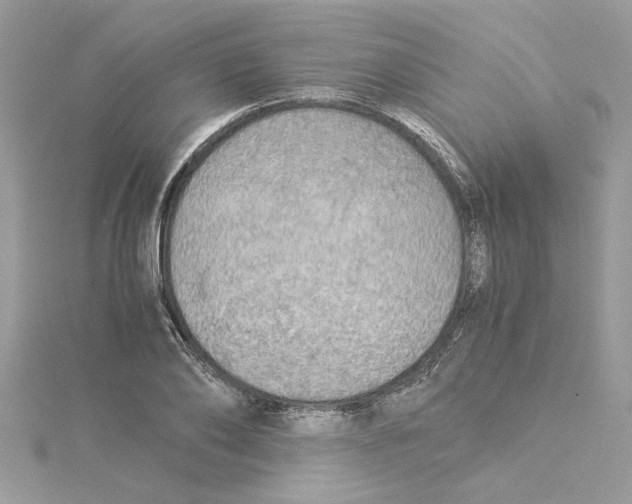 X0000114540886200911161355