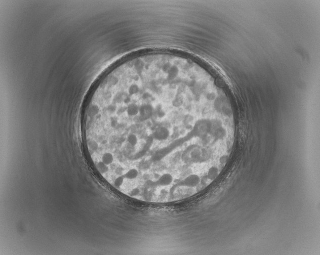 X0000114540887200911161355