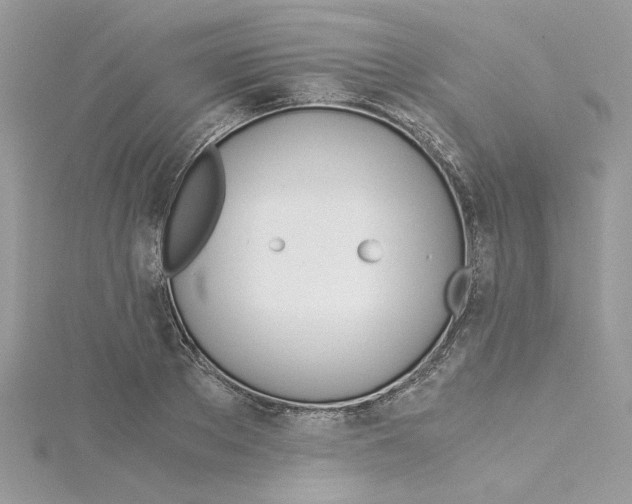 X0000114540889200911161355