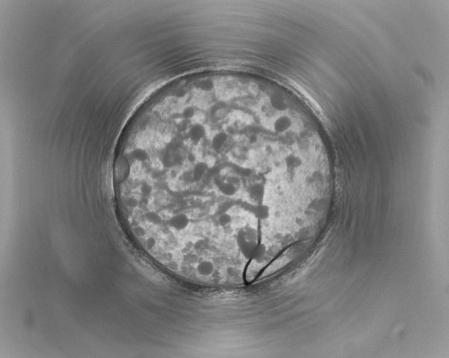 X0000114540891200911161355