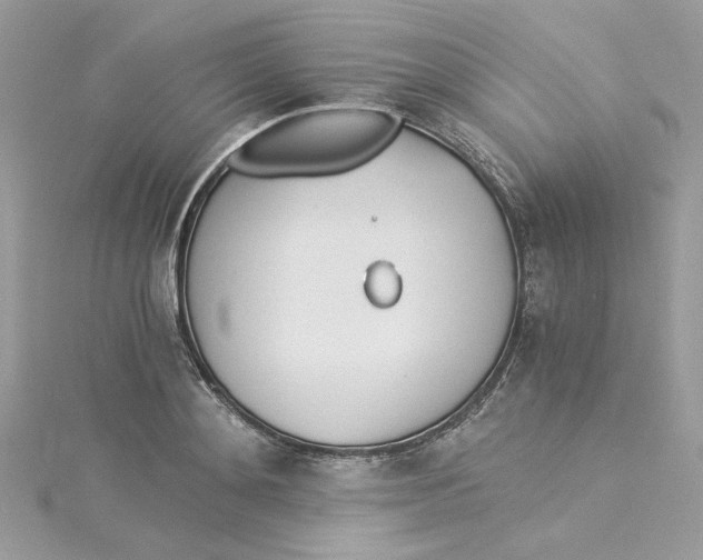 X0000114540892200911161355