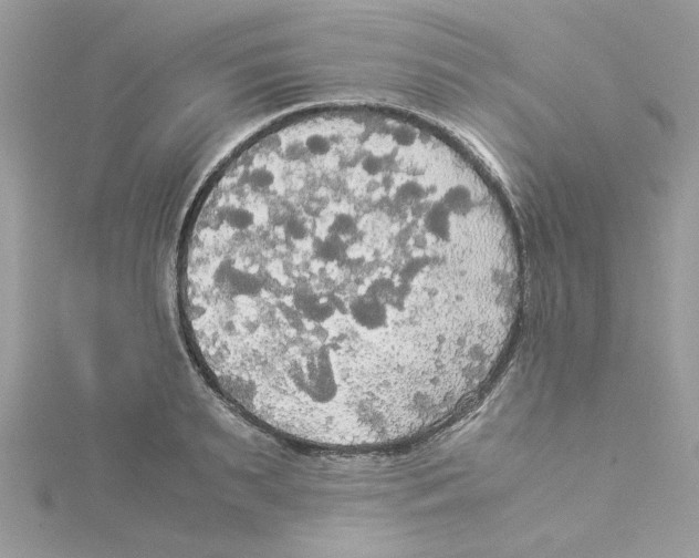 X0000114540895200911161355