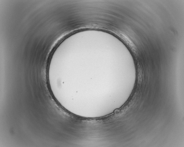 X0000114540896200911161355