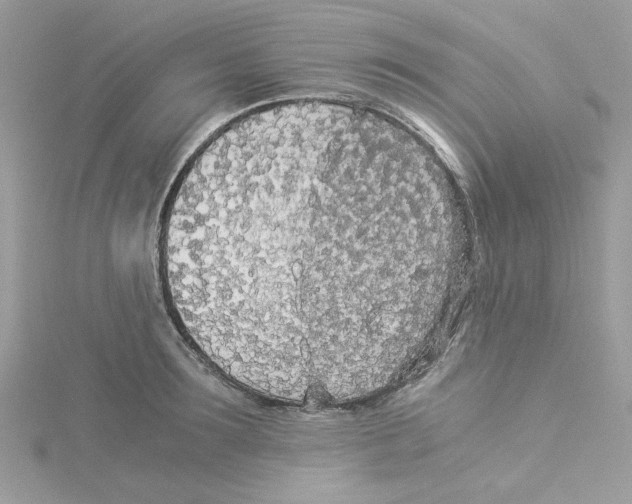 X0000114540899200911161355