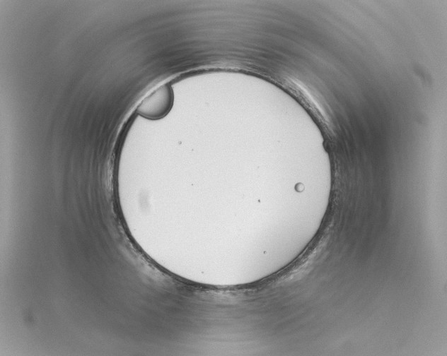 X0000114540900200911161355