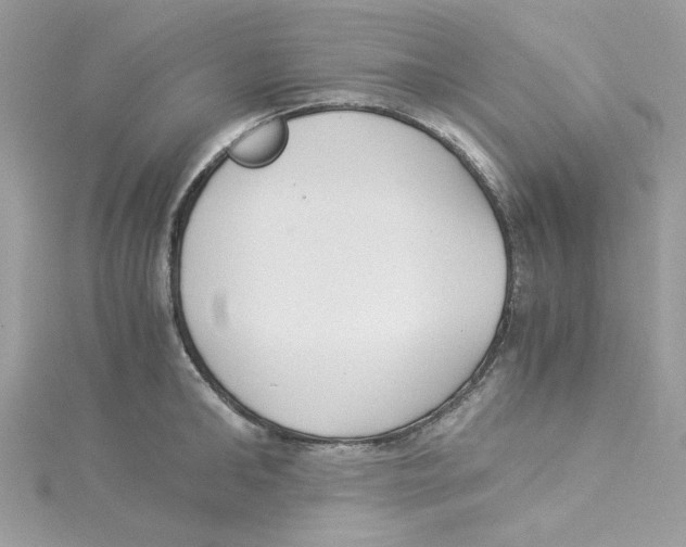 X0000114540902200911161355