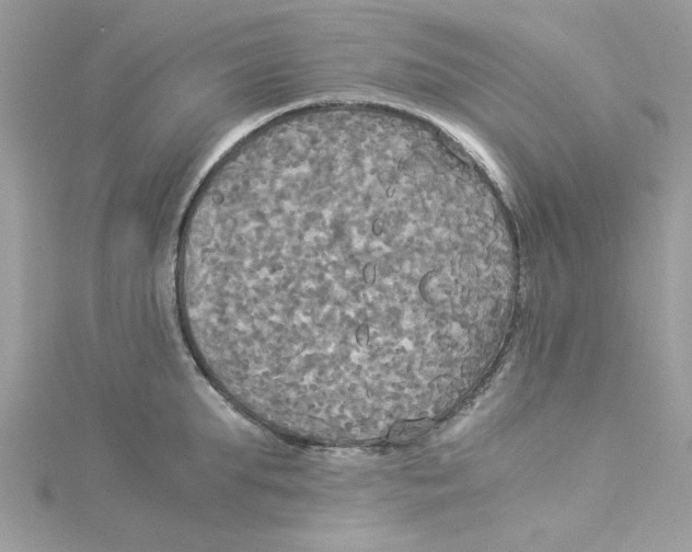 X0000114540903200911161355