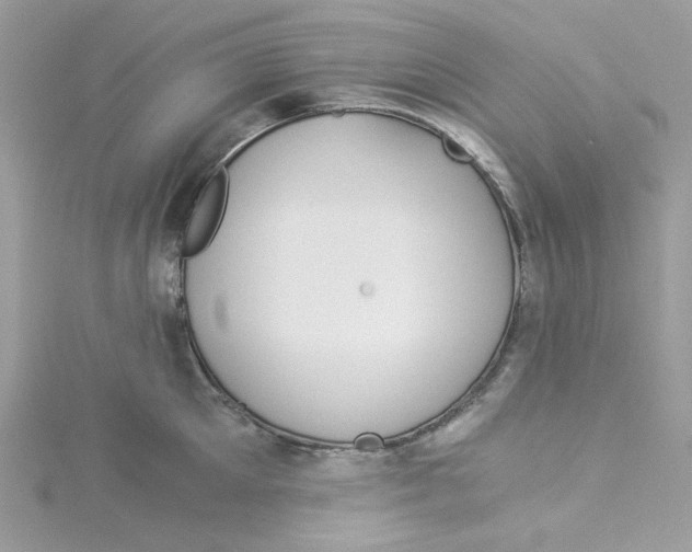 X0000114540905200911161355