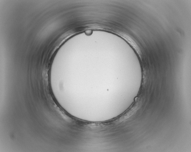 X0000114540906200911161355