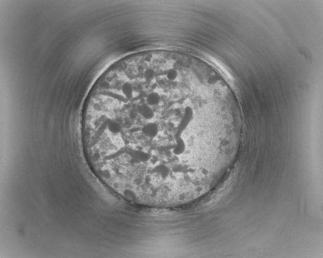 X0000114540907200911161355