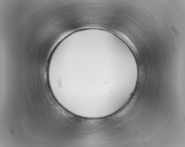 X0000114540908200911161355