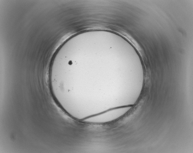 X0000114540909200911161355